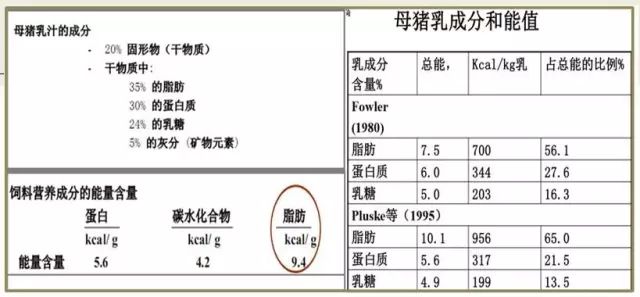 2025-2024全年澳门与香港正版免费资料大全|精选解释解析落实