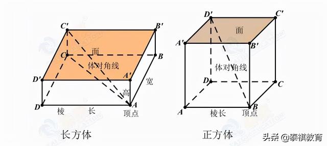 广东省考正方体棱长研究，几何知识与实际应用结合