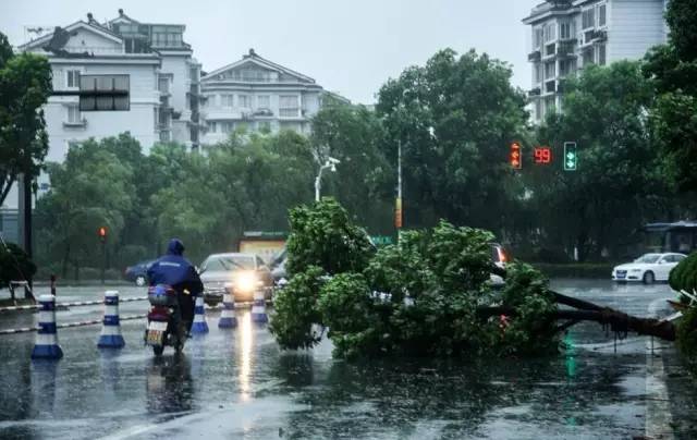 广东省台山市社区，活力四溢的繁荣之地