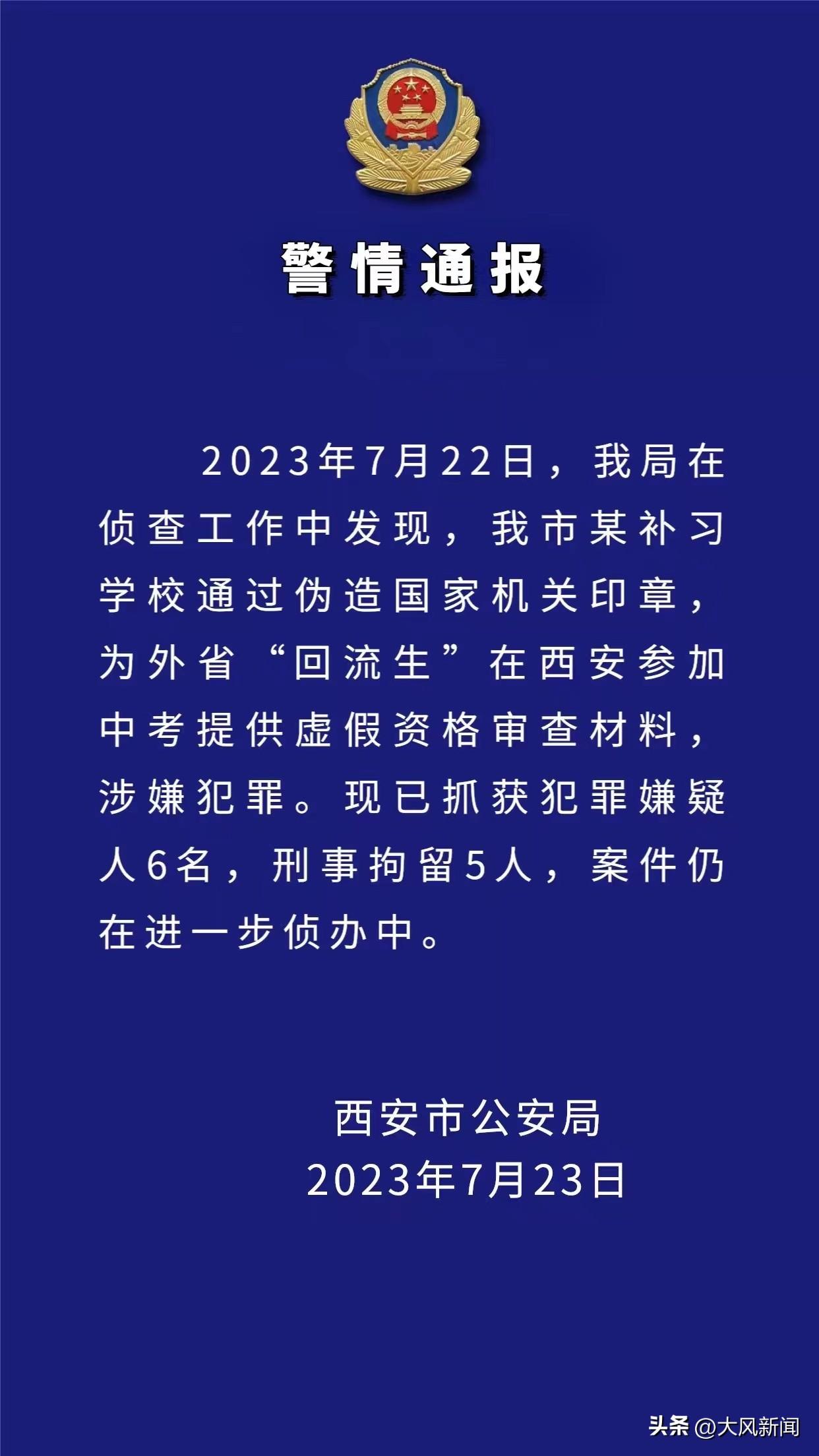 广东省虚假材料案例分析