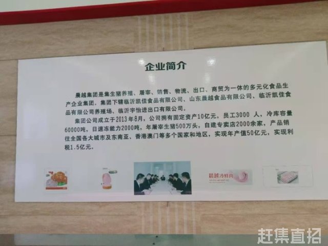 广东凯星食品有限公司，探索食品行业的卓越之路