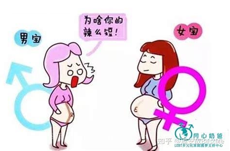 揭秘真相，几个月看男孩女孩最准确