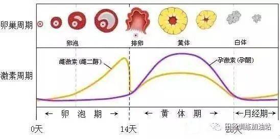 避孕药对月经周期的影响，第二个月推迟的可能性探讨